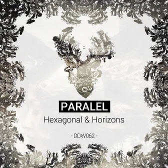 Hexagonal & Horizons by Paralel