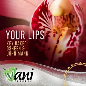 Your Lips by Key Baked