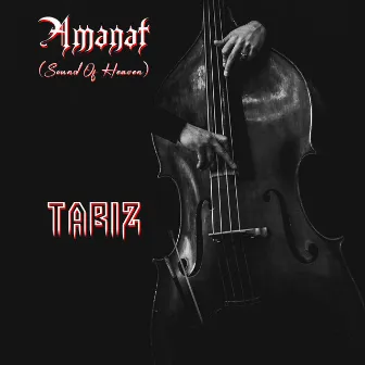 Amanat (Sound Of Heaven) by TaBiz