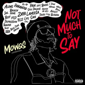 Not Much To Say by Mowgs