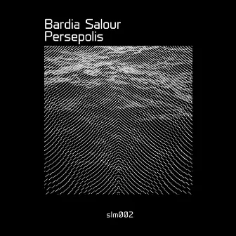 Persepolis by Bardia Salour