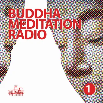 Buddha Meditation Radio, Vol. 1 (Relaxation and Wellness Music) by Andy Bruno