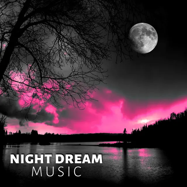 Night Dream Music