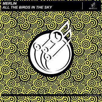 All the Birds in the Sky by Merlin