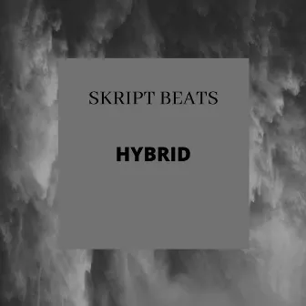 Hybrid by Skript Beats