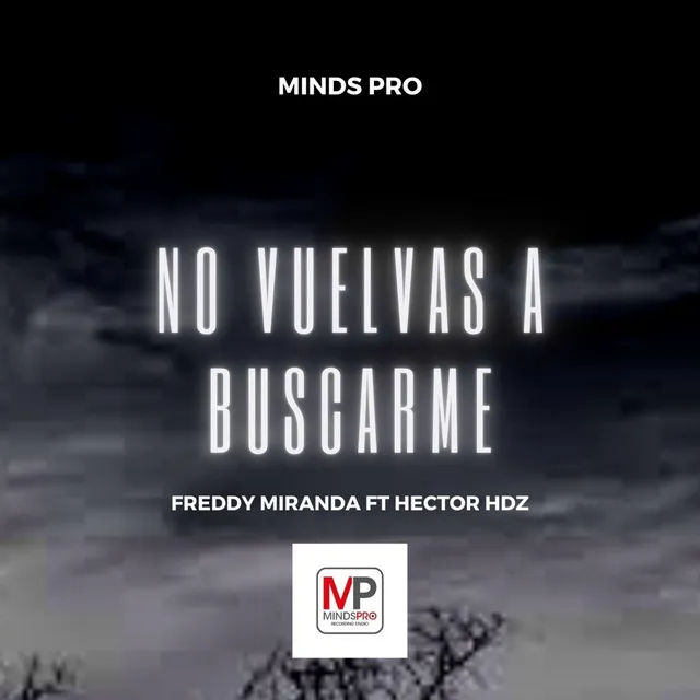 No Vuelvas a Buscarme - Cover