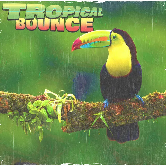 Tropical Bounce