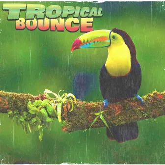 Tropical Bounce by Lord Biff