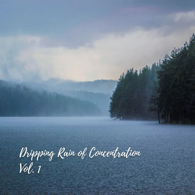 Dripping Rain of Concentration Vol. 1