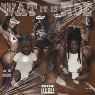 What It Is Hoe by Lil Craccrocc