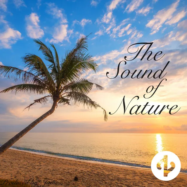 The Sound of Nature