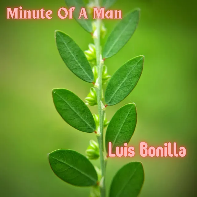 Minute Of A Man