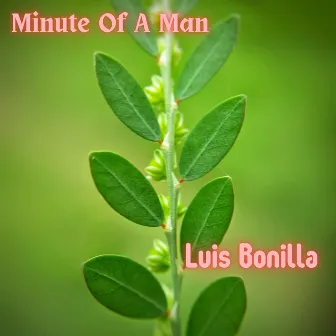 Minute Of A Man by Luis Bonilla