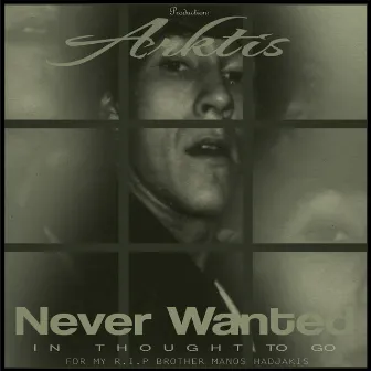 Never Wanted In Thought To Go by Arktis