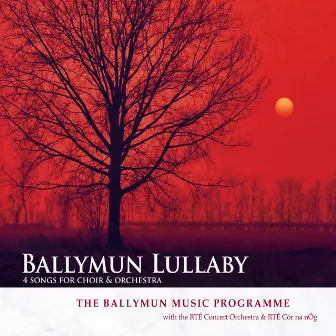 Ballymun Lullaby by The Ballymun Music Programme