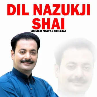 Dil Nazukji Shai by Ahmed Nawaz Cheena