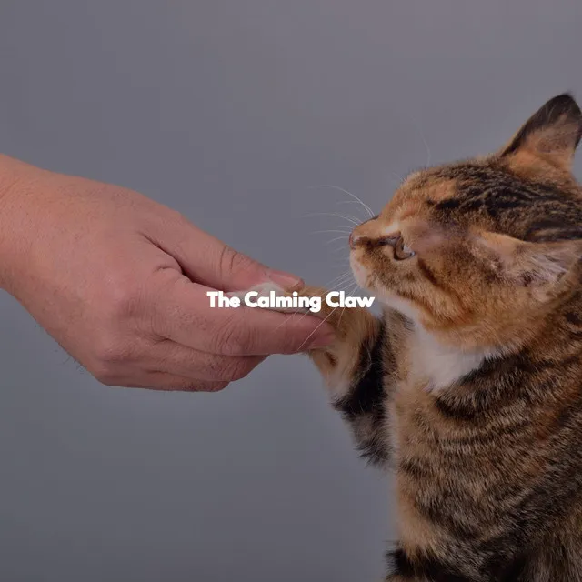 The Calming Claw