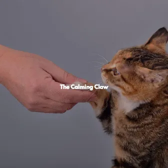 The Calming Claw by Fine Dining Music