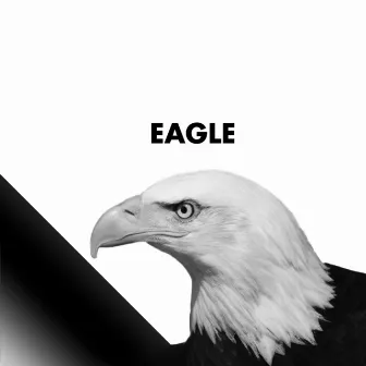 Eagle by VHS