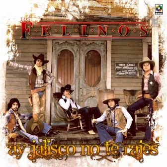 Ay, Jalisco No Te Rajes by Los Felinos