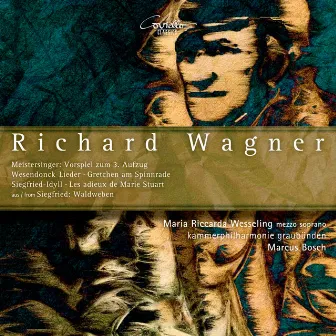 Wagner: Original Works & Adaptations for Chamber Orchestra by Maria Riccarda Wesseling