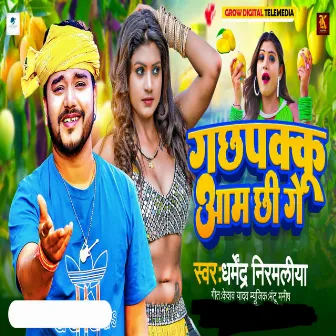 Gachpakku Aam Chhi Ge by Dharmendra Nirmaliya