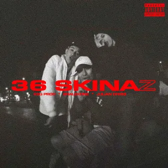 36 Skinaz by BralexOne