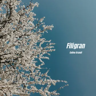 Filigran by Celine Brandt