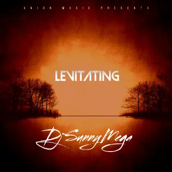 Levitating by Solo