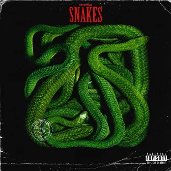 Snakes by jxvensal