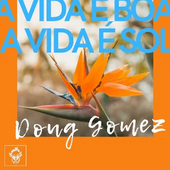 A Vida E Boa, A Vida E Sol by Doug Gomez