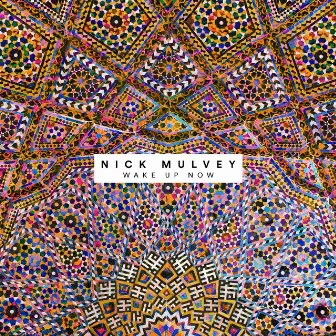 Wake Up Now by Nick Mulvey