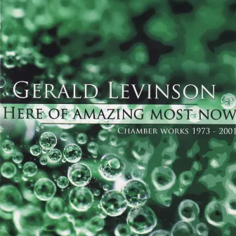 Here of Amazing Most Now by Gerald Levinson