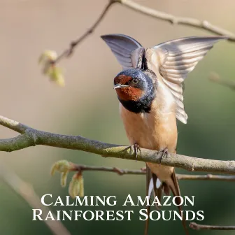 Calming Amazon Rainforest Sounds – Bird Sing, Wind Blowing, Plant Moves & Stream Relaxing Tunes by Nature's Beauty