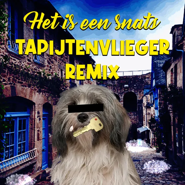 Het Is Een Snats - Tapijtenvlieger Remix