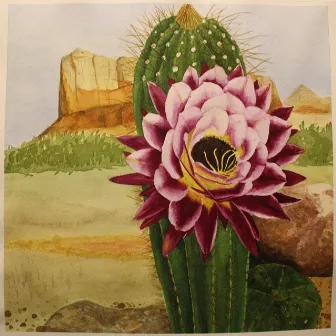 Desert Blossom by Zane