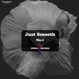 Just Smooth, Vol. 1 by Lotolo