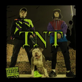 TNT by Tobi