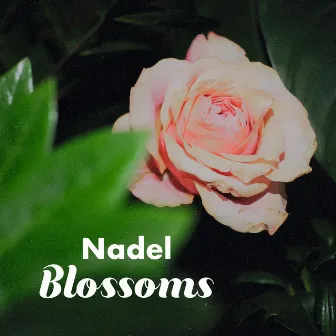 Blossoms by Nadel