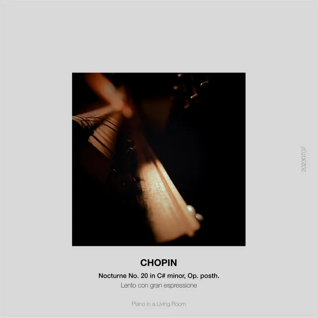 Chopin: Nocturne No. 20 in C-Sharp Minor (arr. for synth and piano)