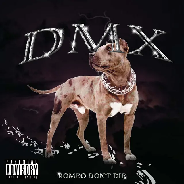 DMX