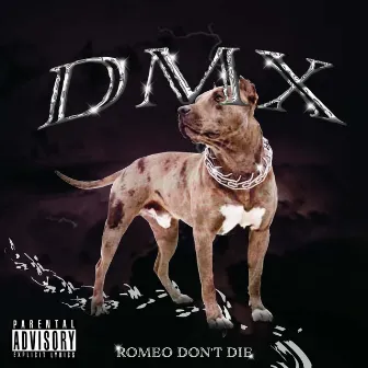 DMX by Romeo Don't Die