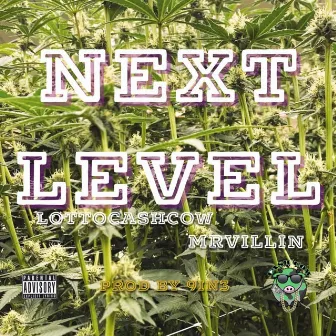 Next Level (feat. MRVILLIN) by Lotto Cashcow