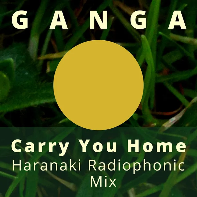 Carry You Home - Haranaki Radio Phonic Mix