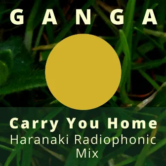 Carry You Home (Haranaki Radio Phonic Mix) by Unknown Artist