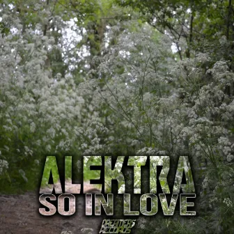 So In Love by Alektra