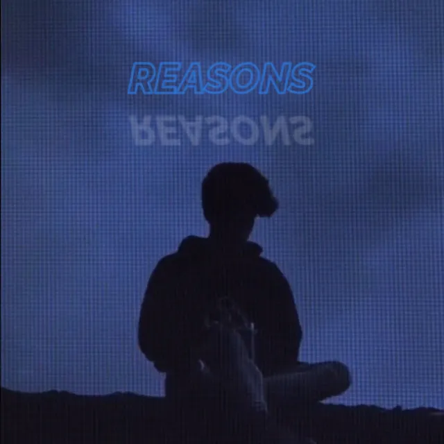 Reasons