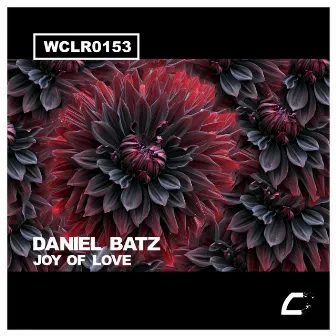 Joy Of Love by Daniel Batz