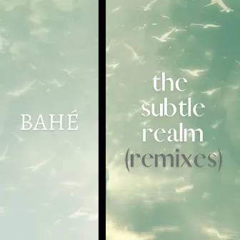 The Subtle Realm (Remixes) by BAHÉ