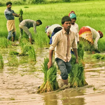 Rain Music: Soothing Nature Sounds for Productive Work by Light Morning Music